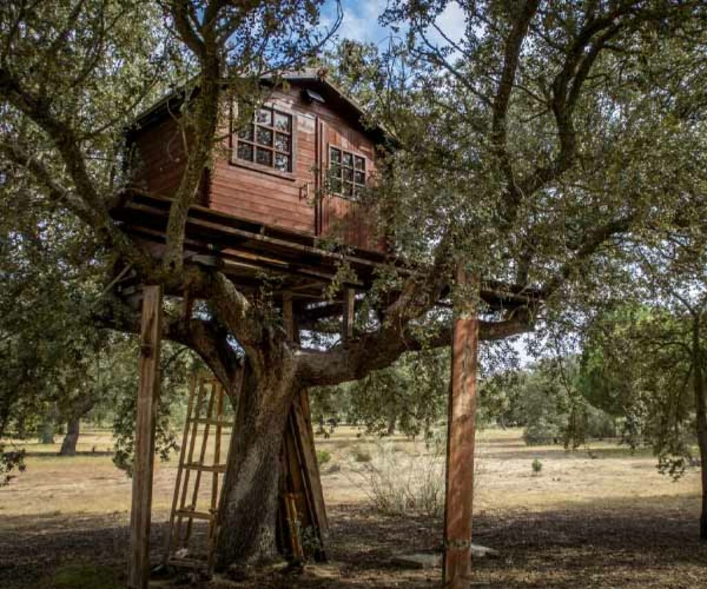 Construire une cabane dans les arbres Guide étape par étape — free download