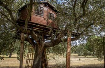Construire une cabane dans les arbres : Le guide étape par étape