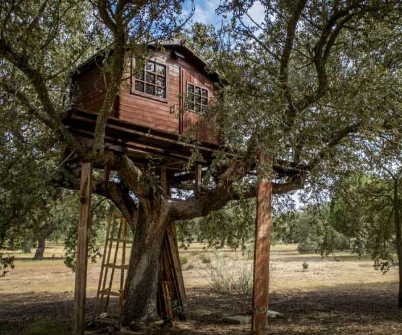 Construire une cabane dans les arbres Guide étape par étape — free download