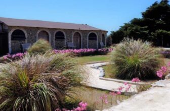 Comment aménager un jardin méditerranéen ?