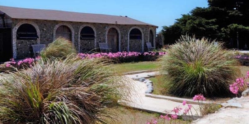 Comment aménager un jardin méditerranéen ?