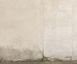 Cacher un mur extérieur moche : 8 conseils à mettre en place 