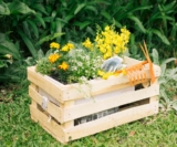 Créer une jardinière en palette : Le guide étape par étape 